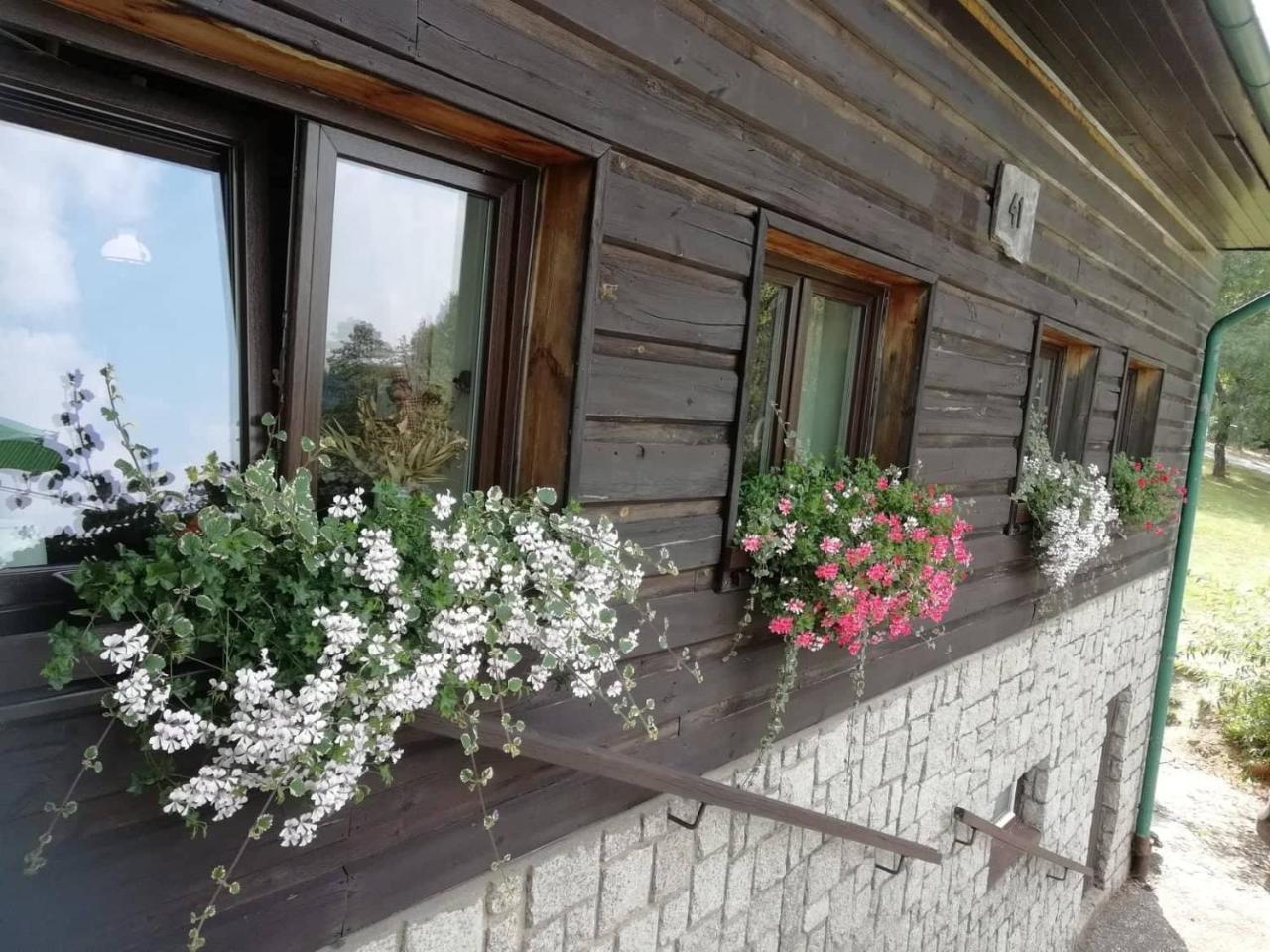 Penzion Pohlednicka Hotel Benecko Exterior photo